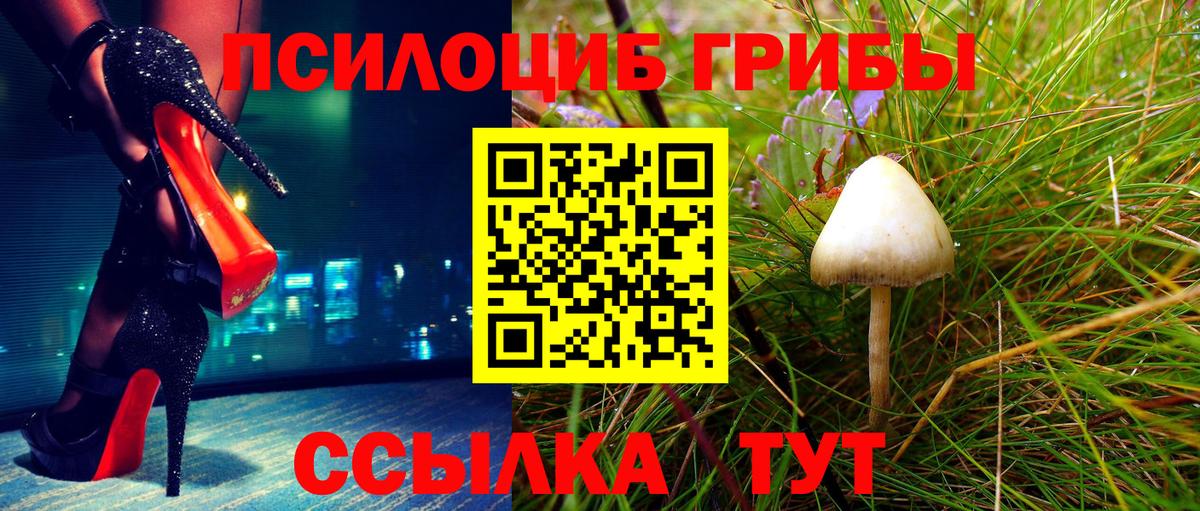 Новосибирск  Псилоцибиновые грибы мухоморы  Вход с VPN 