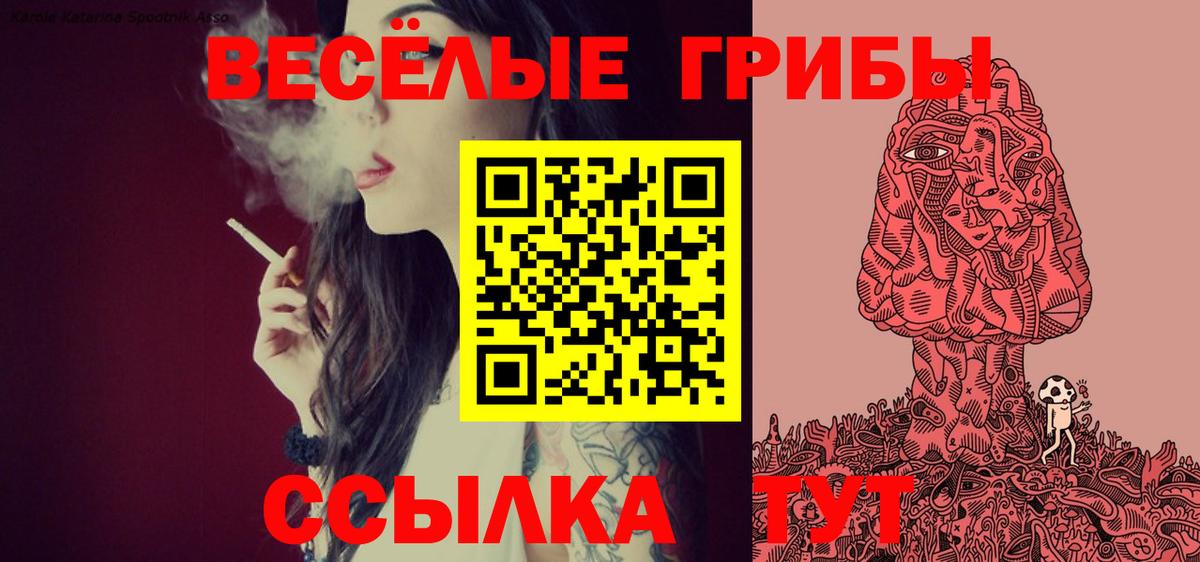 Псилоцибиновые грибы Psilocybine cubensis Новосибирск